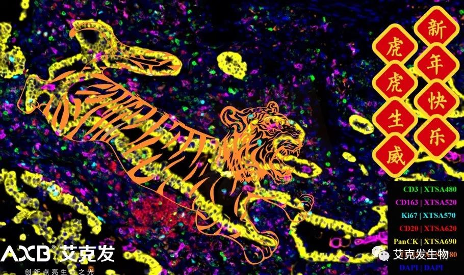 「如虎添翼」新的一年，艾克發(fā)生物愿與您攜手共進(jìn)